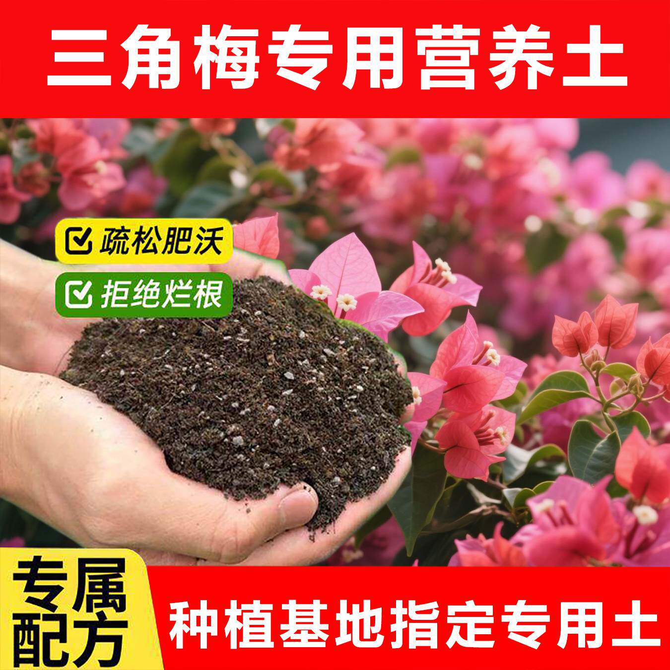 三角梅专用土料开花肥土营养土种植家用上色生长枝条发新种植家用