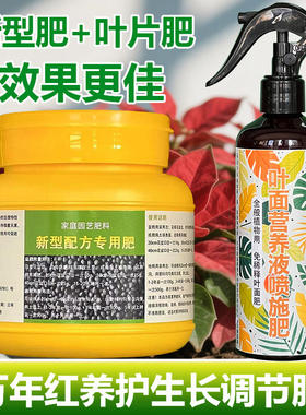 万年红花盆栽专用营养液体如意皇后吉利红植物浓缩专用土水培肥料