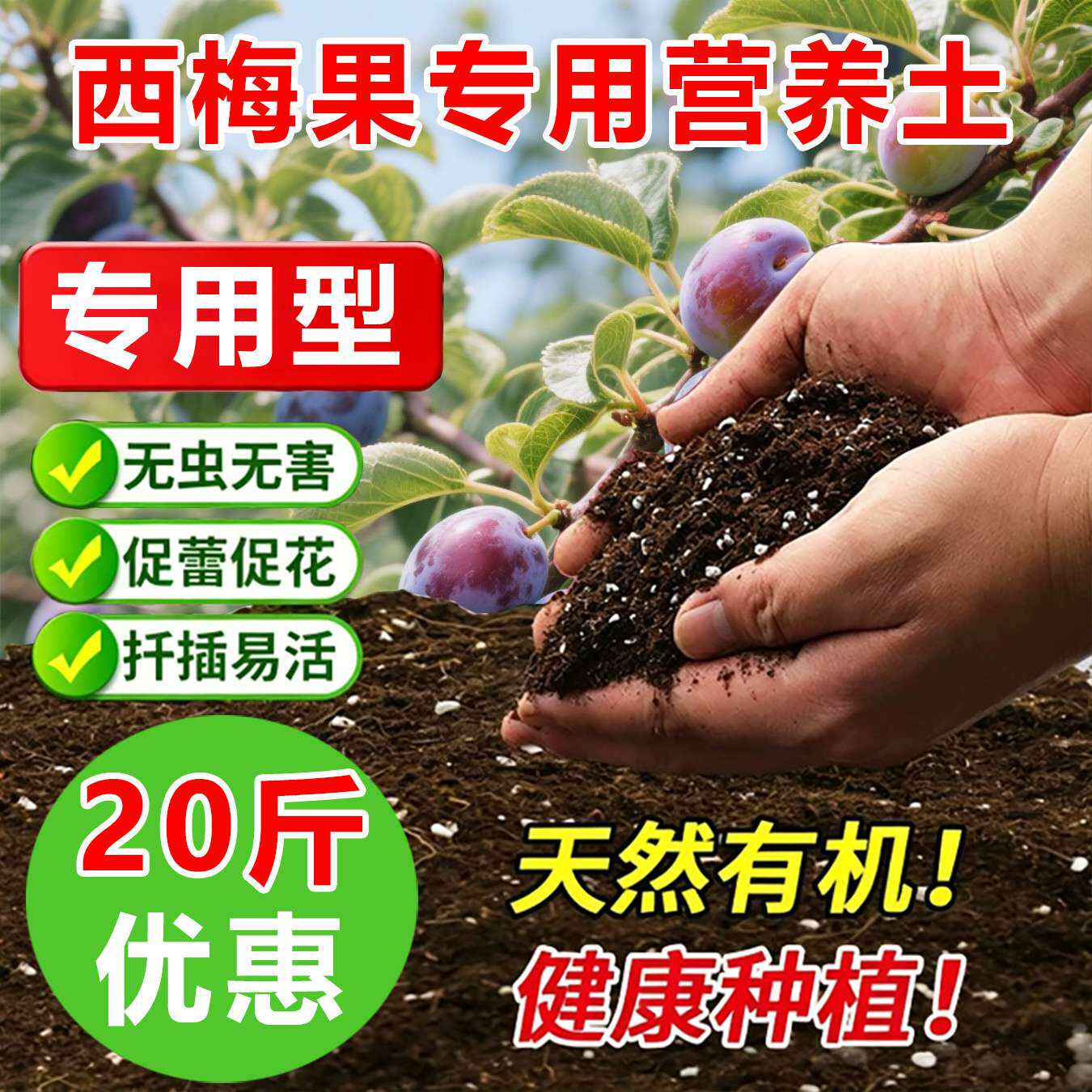 西梅果树专用土料盆栽种植西梅树苗营养土有机土颗粒浓缩有机家用