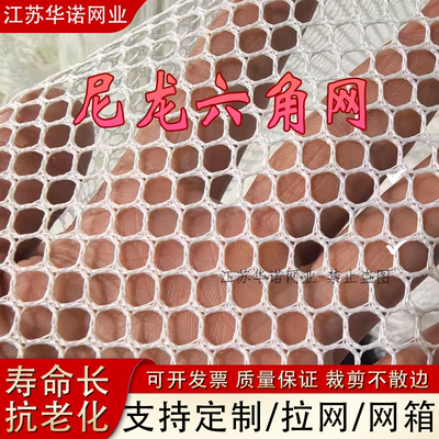 定制白色六角孔网布尼龙网渔网养鱼网黑色网拉网围网养鱼隔离网箱
