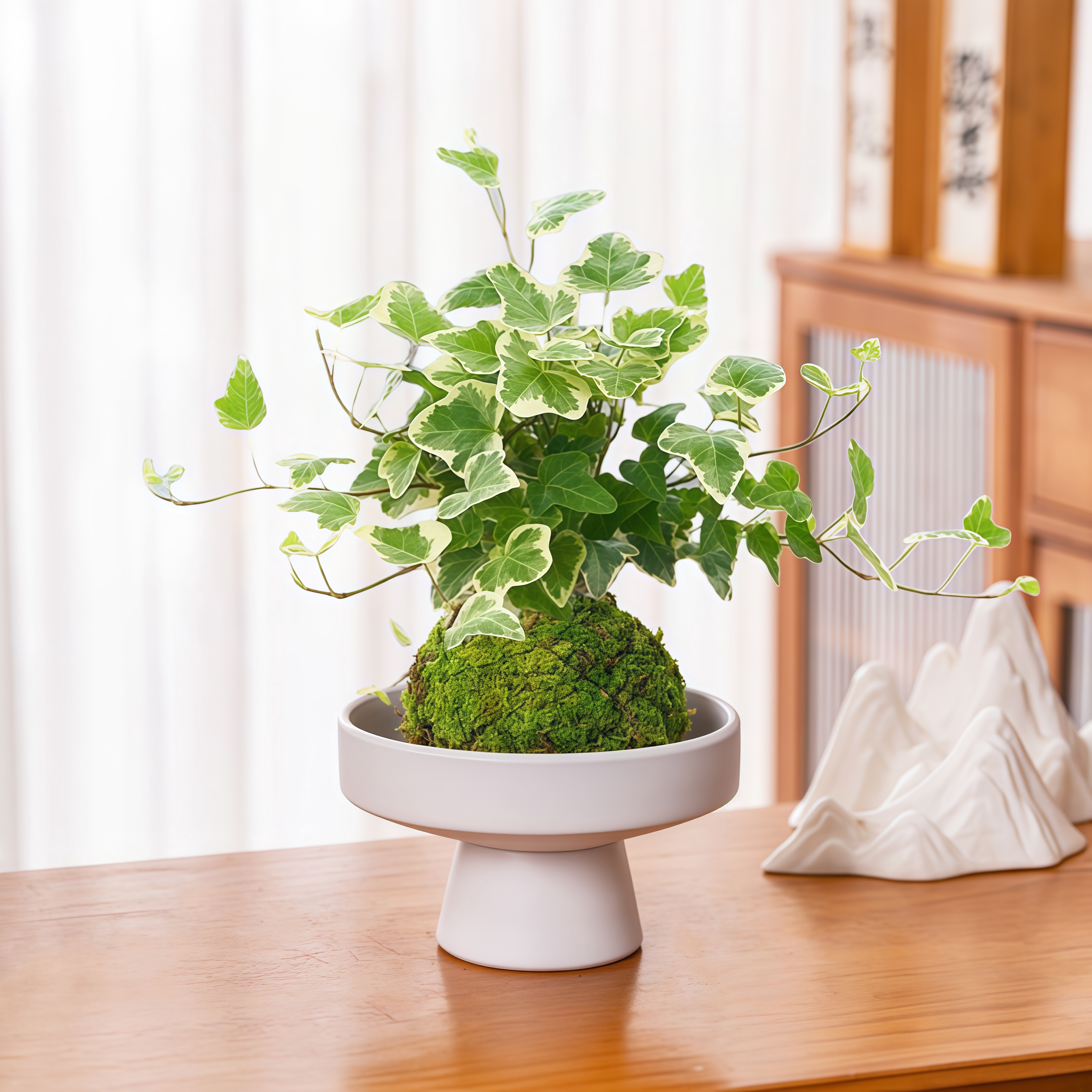 雪莹常春藤水培植物室内绿植图片
