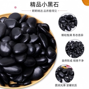 盆栽铺面铺底小石头黑色鹅卵石鱼缸造景底砂天然雨花石子多肉装饰