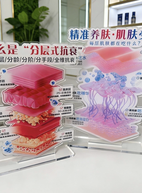 美容分层抗衰肌肤结构亚克力医学皮肤解剖知识讲解繁体医分层抗衰