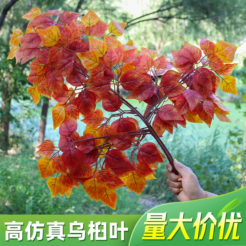 单支仿真乌桕叶秋色桦树叶假树枝