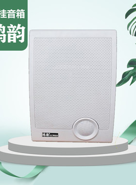 壁挂音响音箱喇叭教室店铺室内广播挂壁式墙壁家用吊挂式挂墙超市