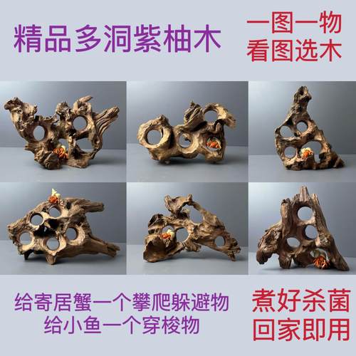 一物一拍精品多洞天然鱼缸造景
