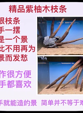 长条形沉木紫柚木枝条骨架南美缸雨林缸水草缸造景爬宠寄居蟹装饰