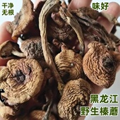 东北野生榛蘑干货珍蘑菇干真蘑250g黑龙江伊春特产臻蘑干蘑菇礼盒