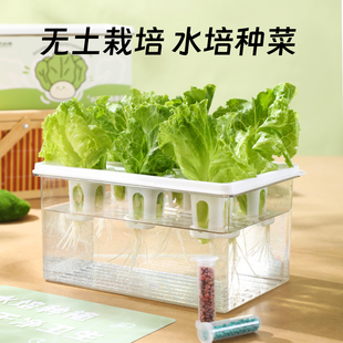 家庭水培蔬菜种植盒无土栽培设备水培生菜器皿幼儿园智能观察花盆