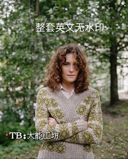 【英文】strands of joy 棒针提花毛衣图解 Laine系列文字解 231