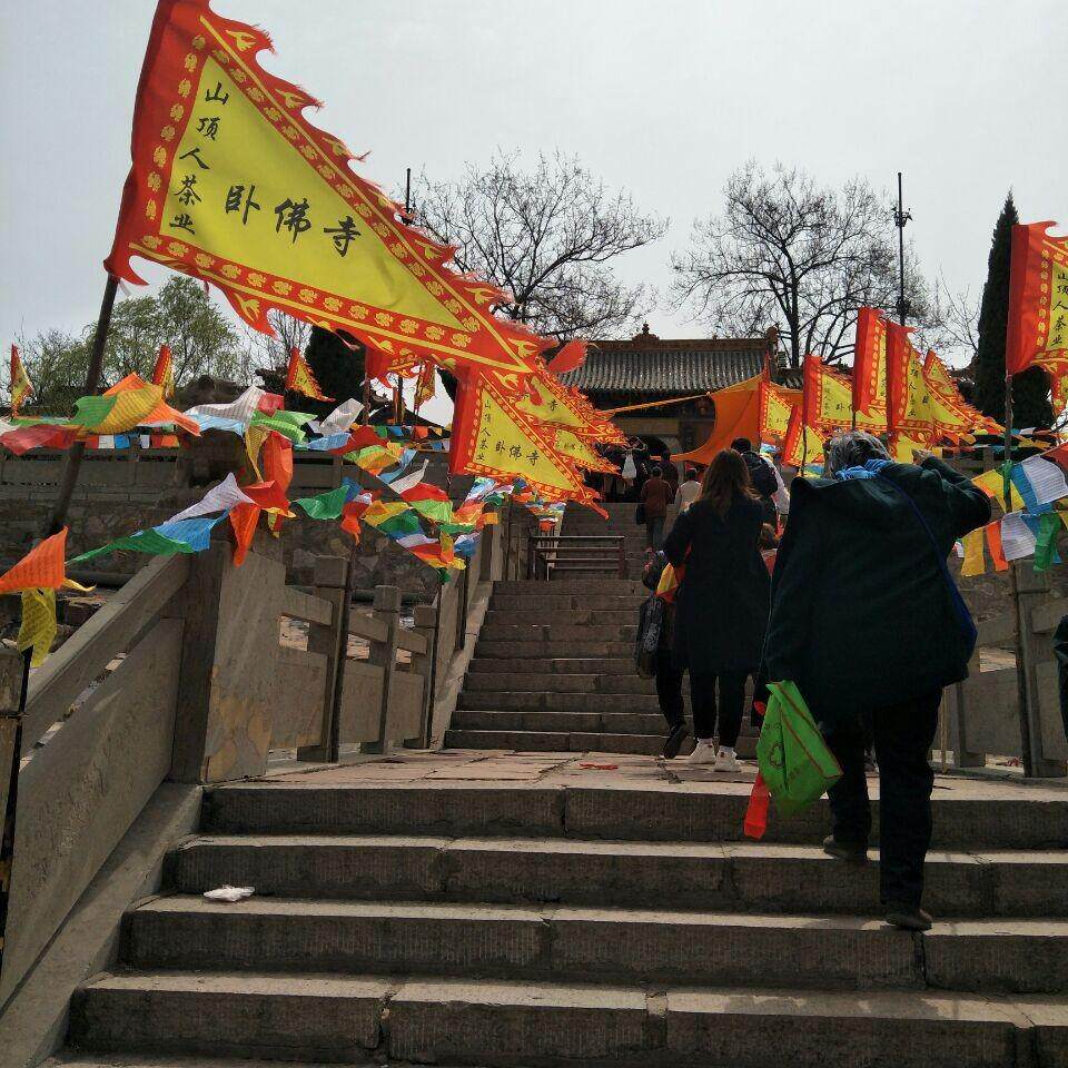靖定做三角龙旗狼牙旗令旗酒旗龙凤旗导游旗户外旗龙舟旗帜定制