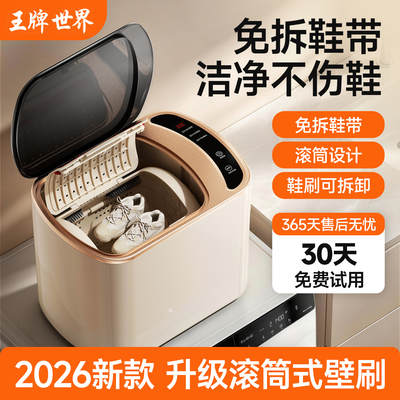王牌世界滚筒洗鞋机全自动洗脱一体家用小型智能洗鞋子专用刷鞋机
