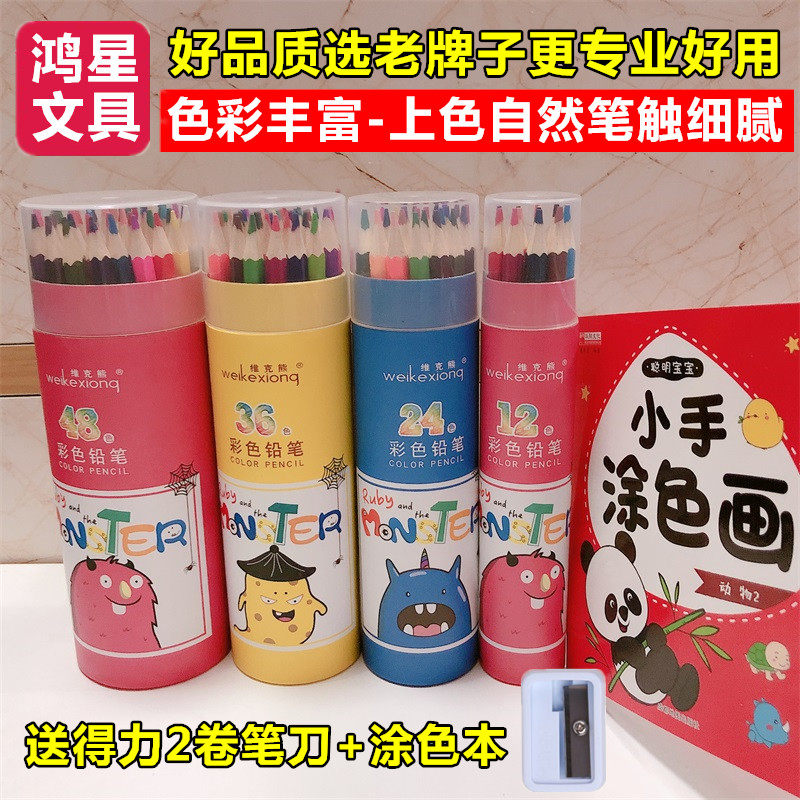 鸿星幼儿园小学生儿童24 36 48色美术绘画画画专用彩色铅笔套装12