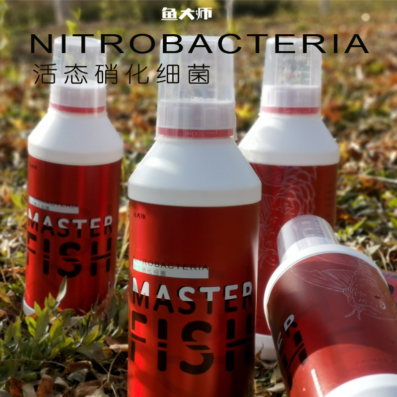 鱼大师活态硝化细菌水质稳定净水剂龙鱼魟鱼观赏鱼水质调节