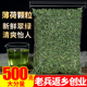 薄荷叶500g干颗粒茶食用泡水新鲜烘培酒水吧调酒清凉另售特级野生