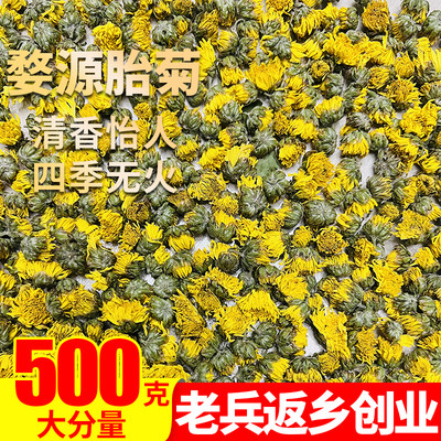 正宗婺源皇菊500g正品野菊花婺源皇菊米干花草茶另售特级金丝皇菊