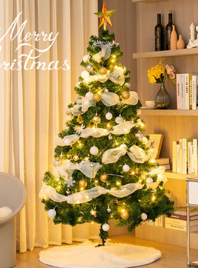 圣诞节装饰2025年摆件Christmas tree白色仿真树客厅新款圣诞树