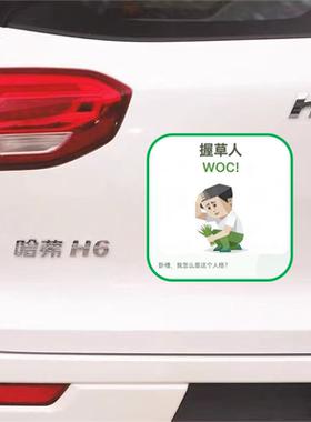 SBTI人格测试磁吸车贴握草人多情者创意车个性车尾防水电动车贴纸