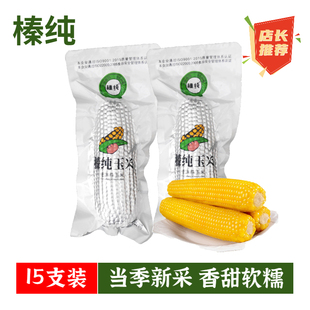 榛纯东北香甜糯玉米棒新鲜粘甜新品有机种植真空包装小粒黄15支装
