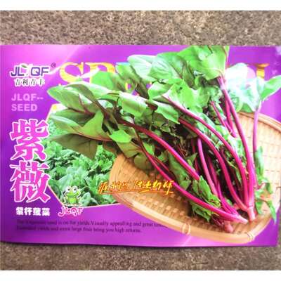 百红红菠菜种子红叶菠菜籽红杆菠菜种子紫色牛皮菜种子特色蔬菜种