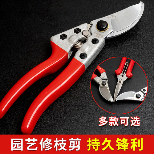 剪枝果园剪刀新款修刀园艺省力不锈钢蔬果葡萄鲜花强力弹簧修枝剪
