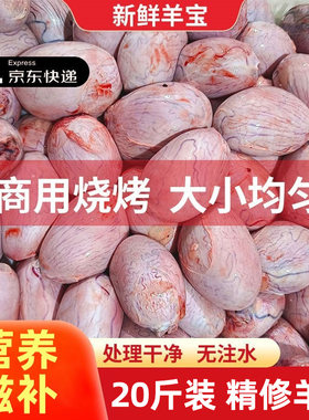新鲜羊宝羊蛋外腰大小均匀