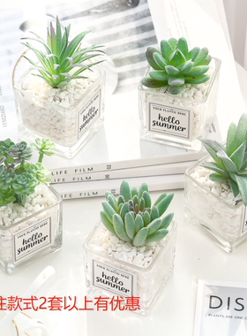 浴室柜小摆件卫生间洗漱台绿植