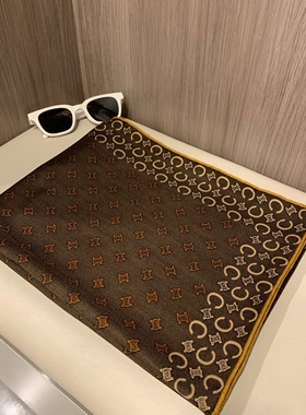 无法拒绝的高级咖 凯旋门咖色真丝羊毛围巾披肩105CM方巾