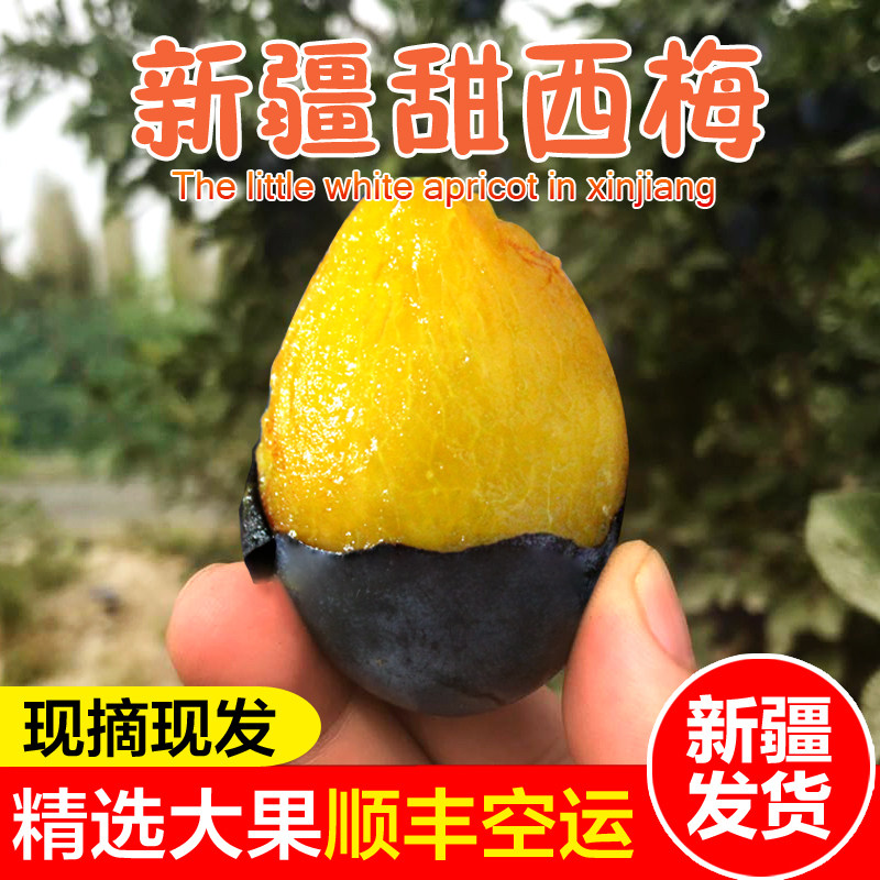【新疆直发】新疆西梅新鲜 孕妇西梅