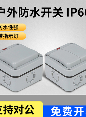 KAKN防水盒户内外双开开关室外花园浴室工地单双控带指示灯明装防