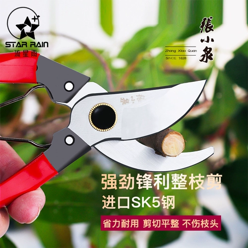 Ножницы для садоводства, ножницы, режущие бамбуковые палочки, ветви и ветви, срезанный SK5 из нержавеющей стали для цветочных магазинов для цветочных художников