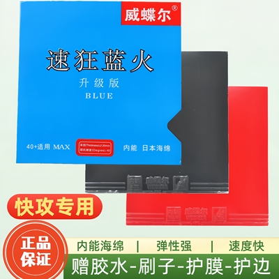 威蝶尔蓝火蛋糕海绵乒乓球胶皮