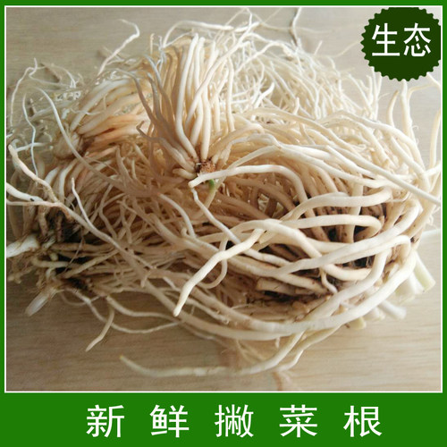 云南特产新鲜腌菜农家生态