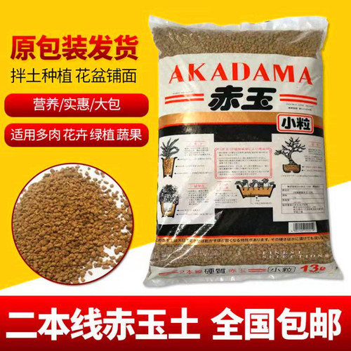 日本进口多肉种植硬质铺面赤玉土