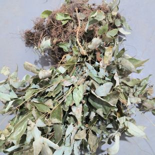 贵州深山老林全草淫羊藿500g三枝九叶草整枝带根须泡酒泡茶包邮