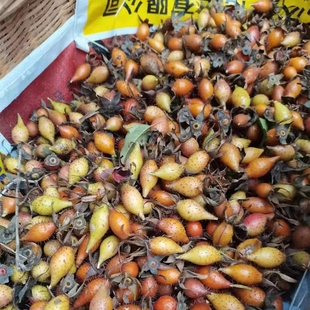 新鲜金樱子 2023年贵州特产野生金樱子泡酒料中药材草药青果500克