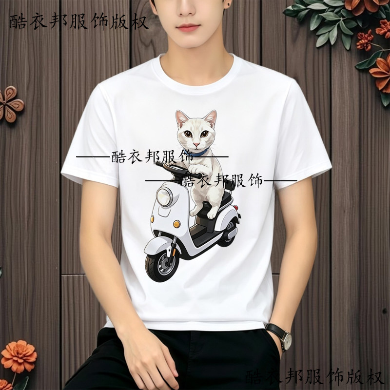 夏季ins风猎奇丑橘猫咪梗图短袖男女学生可爱趣味圆领印花打底衫