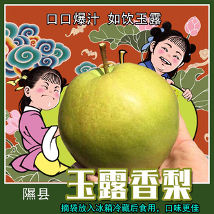 骀嫂玉露香梨正宗隰县特产2026新春包邮