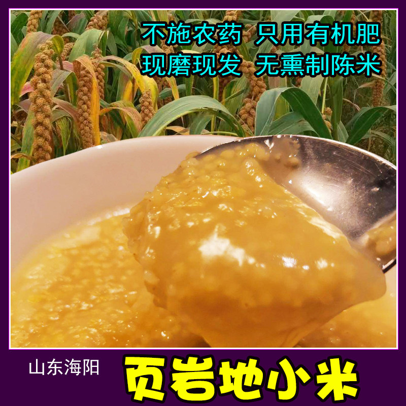 骀嫂页岩地书香小米山东海阳郭城镇特产