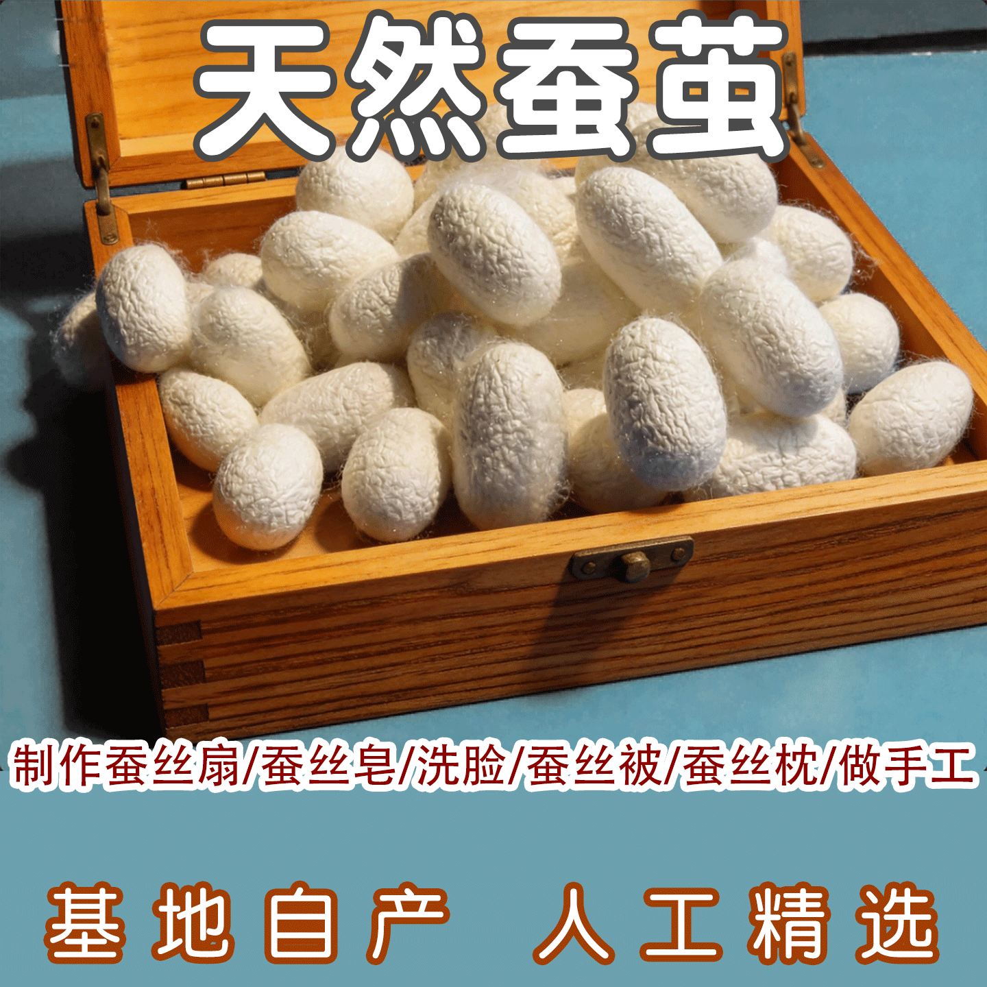 桑蚕茧干茧鲜蚕茧烘干茧桑蚕茧蚕丝扇蚕壳蚕蛾抽丝手工彩绘蚕丝被
