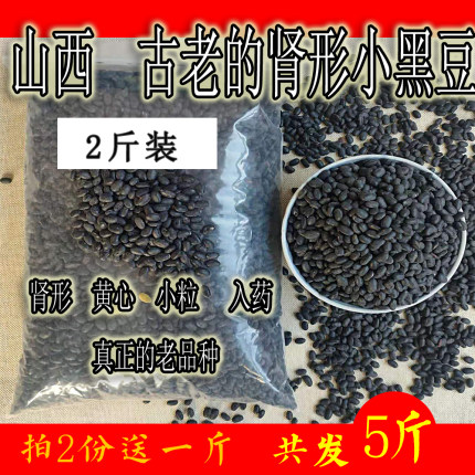 肾形药用黄心小黑豆农家自种当季打豆浆专用优黄芯杂粮散装老品种