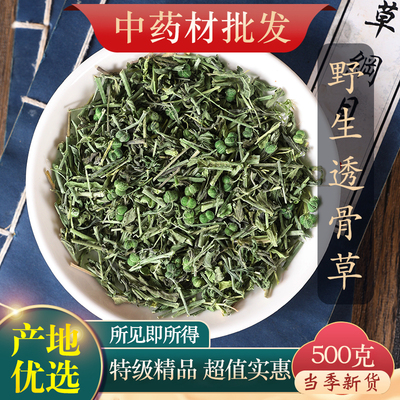 中药材特级野生透骨草500g克透骨草粉珍珠透骨草正品新货伸筋草