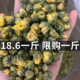 新花草茶叶 菊花茶桐乡胎菊王头采特级正宗杭白菊贡菊花茶500g散装