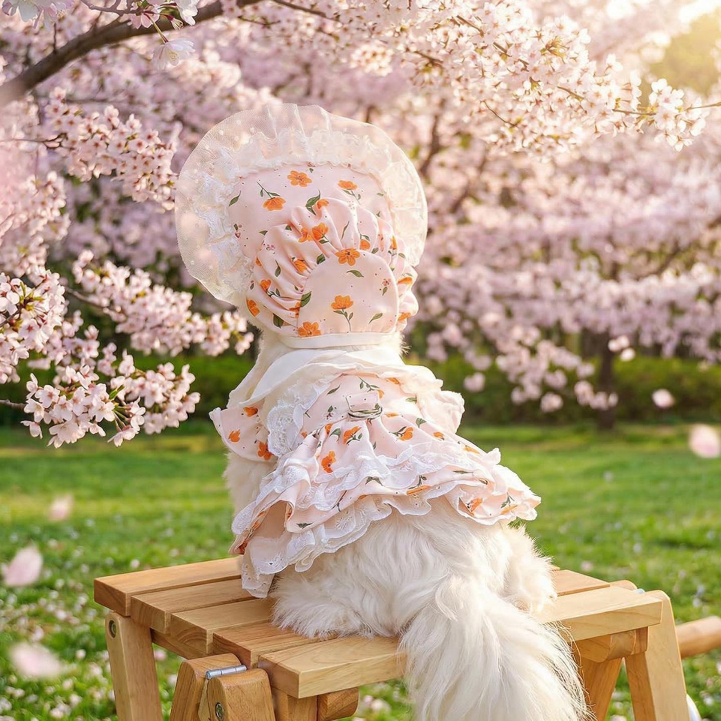 小狗衣服带牵引扣胸背带狗狗