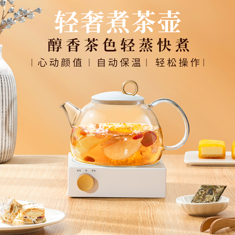 家用养生壶多功能一体