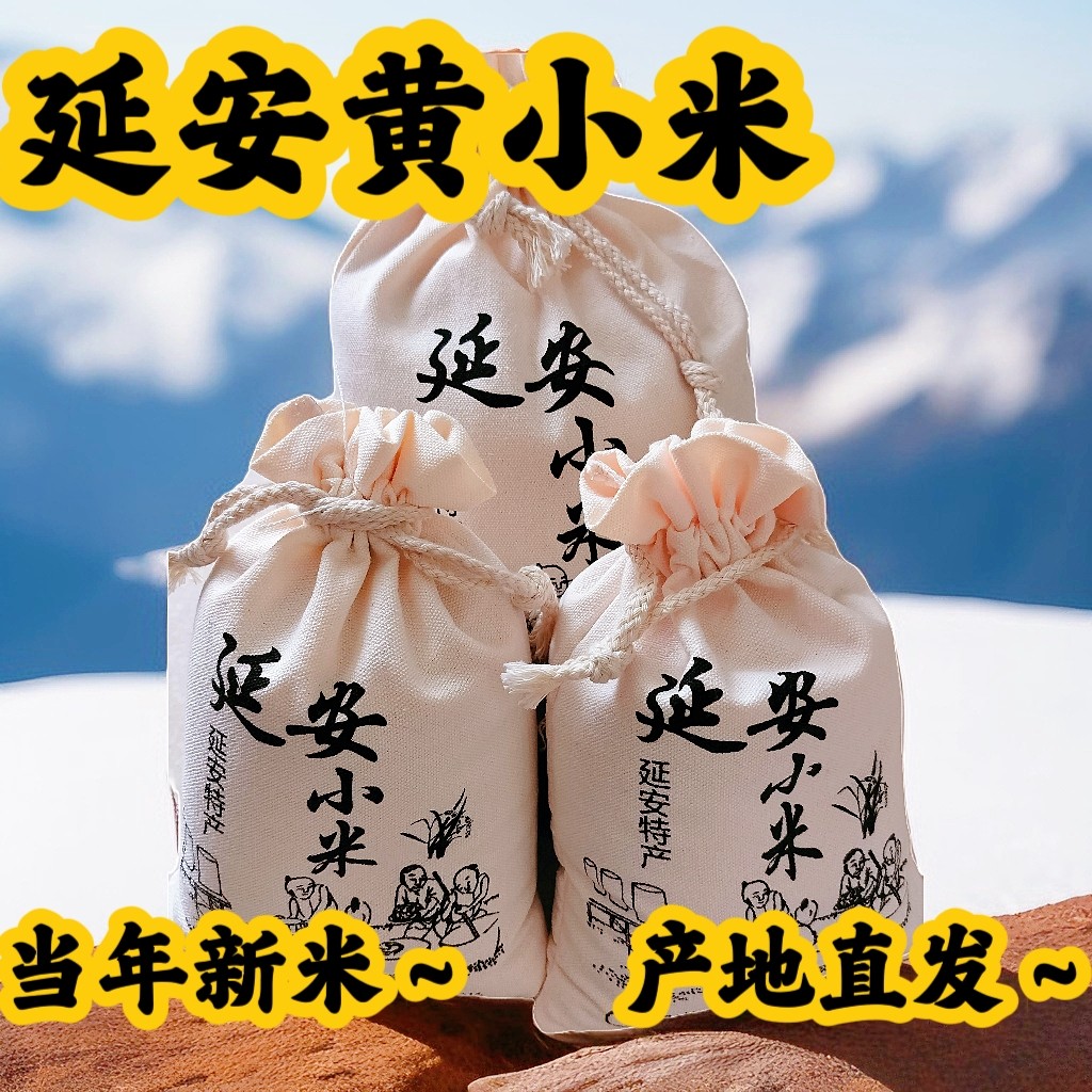陕北延安旱地羊粪黄小米