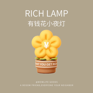 创意卧室床头灯学生宿舍充插两用网红有钱花小夜灯礼物伴睡氛围灯
