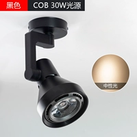Накладной черный COB30W нейтральный свет