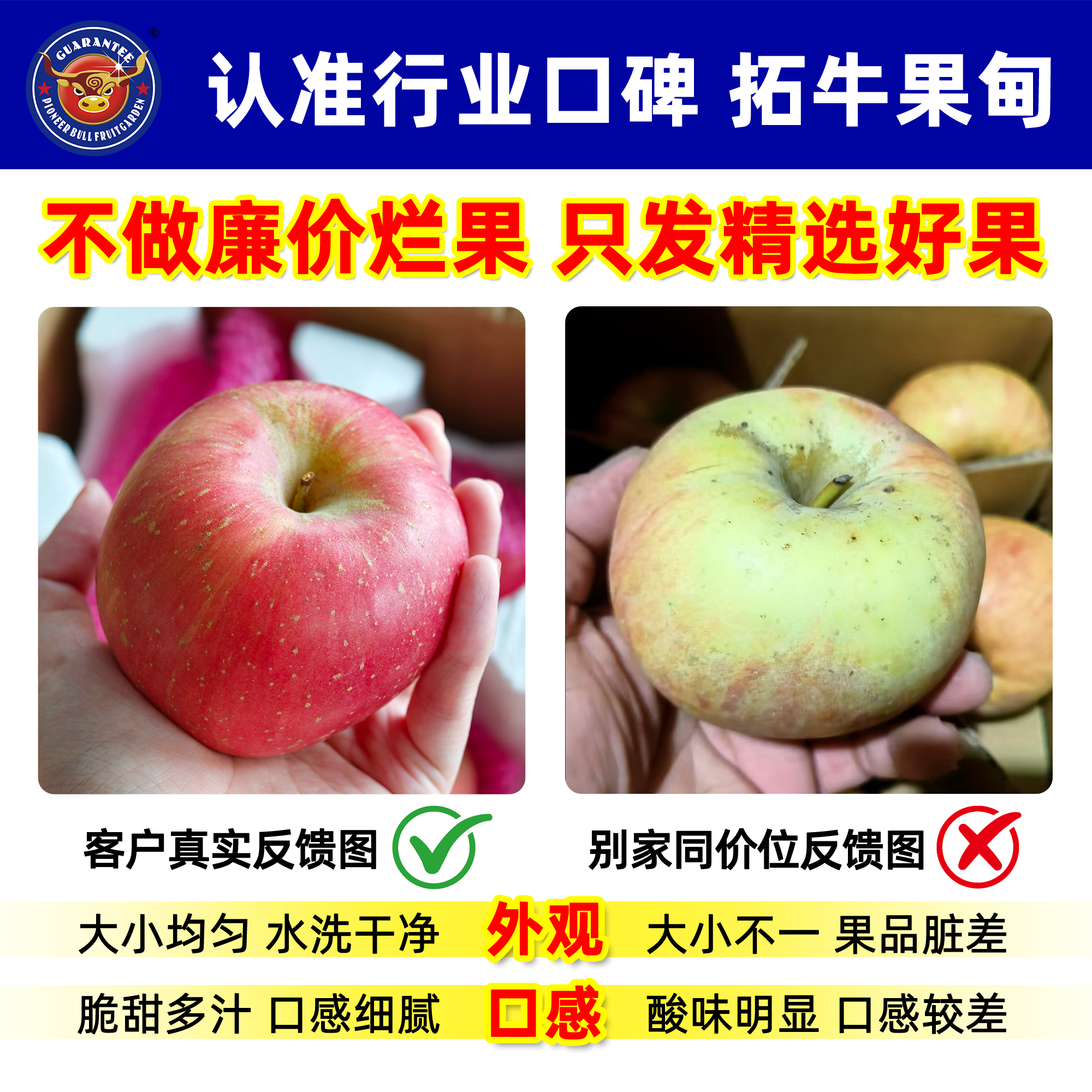 正宗山东烟台富士苹果片条纹新鲜脆甜冰糖心产地直发包邮二级果