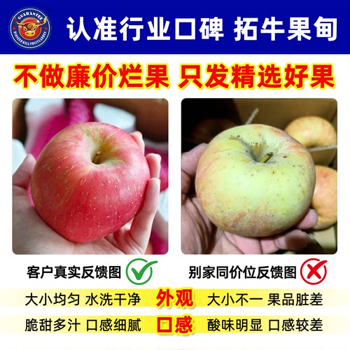 特价山东富士苹果脆甜爆汁